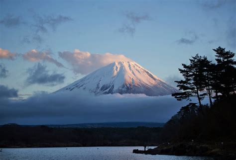 Hiking in a Forest Born Out of Mount Fuji’s Lava - The New York Times