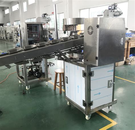 KL-160B Dried Fruit Packing Machine