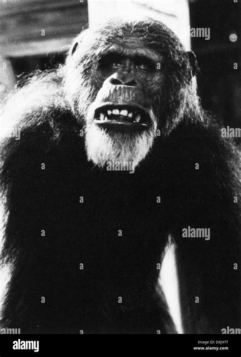 GREYSTOKE, THE LEGEND OF TARZAN LORD OF THE APES Stock Photo - Alamy