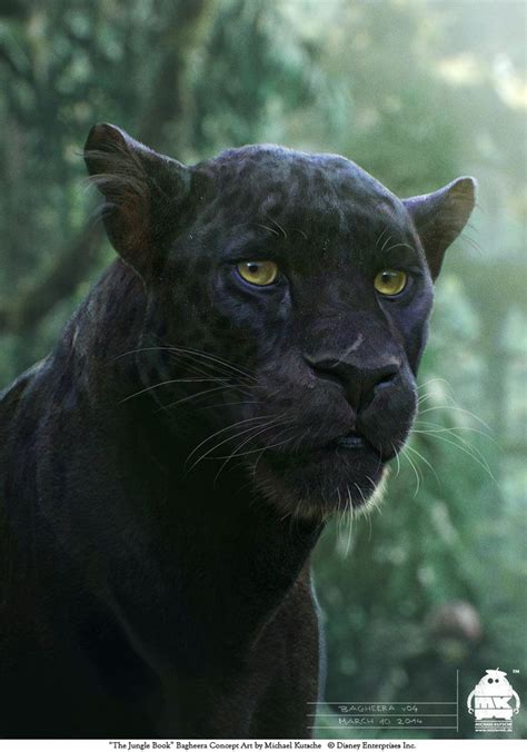 Jungle Book Panther