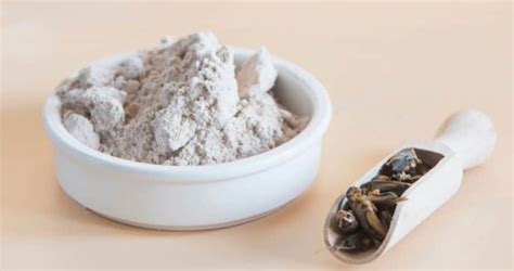 What Is Cricket Flour? (What Is It Made Of, Taste + Other FAQs)