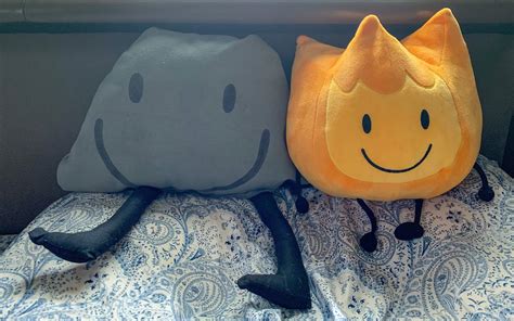 My BFDI Plushies! | BFDI💖 Amino