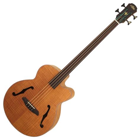 Acoustic Bass Fretless at Joseph Crandall blog