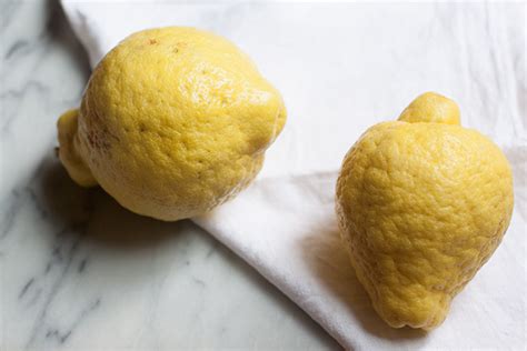 Citron, three ways | Emiko Davies