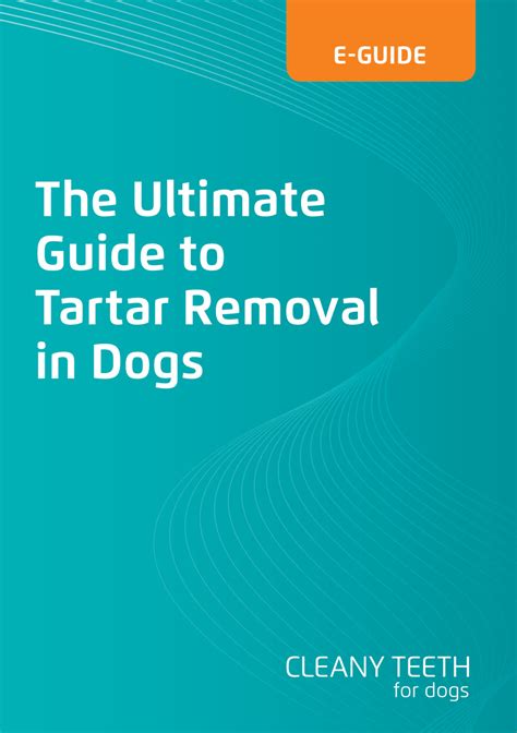 Cleany Teeth Dogs Guide to Tartar removal by - Flipsnack