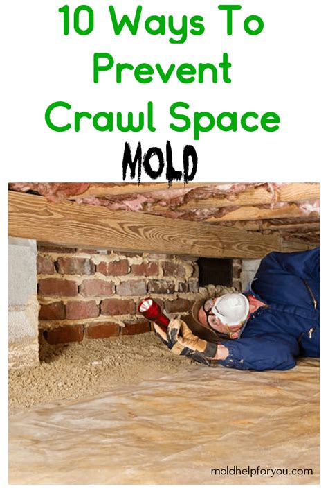 Crawl space mold – what you should know as well as tips and tricks to prevent it. You might ...