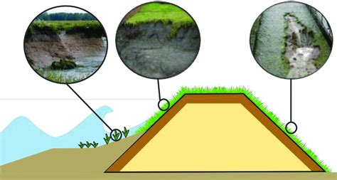 4 Formation and erosion of a cliff at the three locations of a flood ...