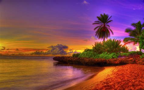 Tropical Beach HD Wallpaper - WallpaperSafari