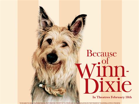 Because Of Winn Dixie Drawing at GetDrawings | Free download