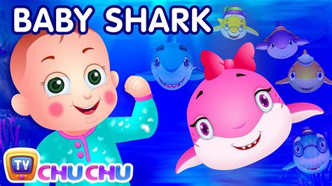 Baby shark song for kids