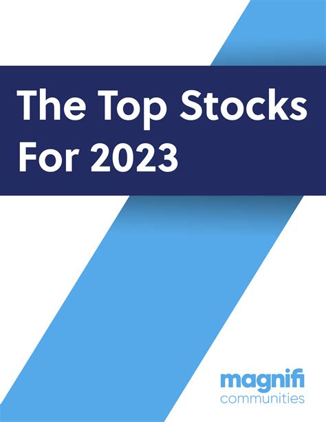 The Top Stocks of 2023