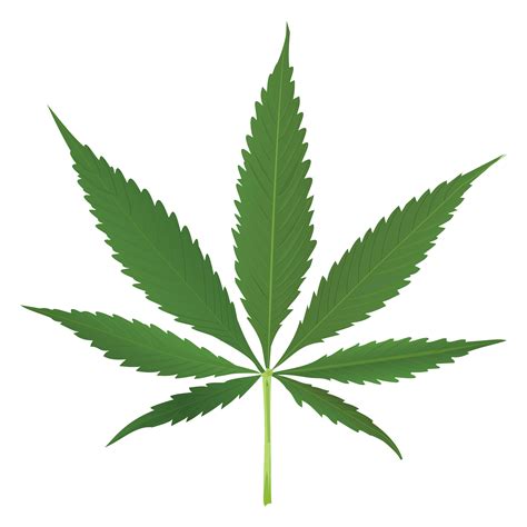 Free Weed Joint Transparent, Download Free Weed Joint Transparent png images, Free ClipArts on ...