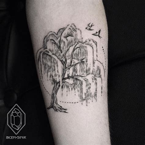 12+ Astonishing Willow tree tattoo ideas ideas