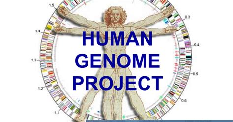 HUMAN GENOME PROJECT.ppt - Google Slides