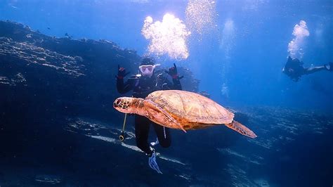 Kauai Snorkeling Tours 🤿 3 of the Best Adventures