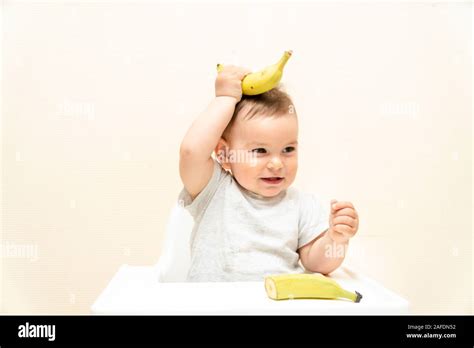 Funny little toddler eating banana in a high chair copy space food baby ...