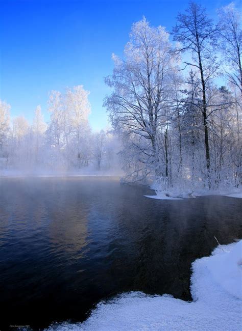 Beautiful Winter Scenes (15 photos)