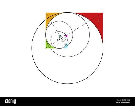 Fibonacci Sequence Circle. Golden ratio. Geometric shapes spiral. Circles in golden proportion ...