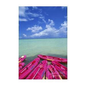 Many Pink Kayaks Photograph by Dana Edmunds - Printscapes - Fine Art America