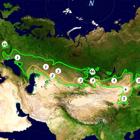 Estimation of species richness in different parts of the Eurasian steppes. | Download Scientific ...