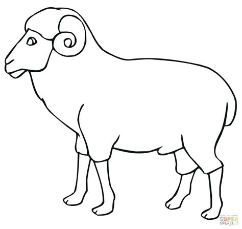 Sheep Outline | Free download on ClipArtMag