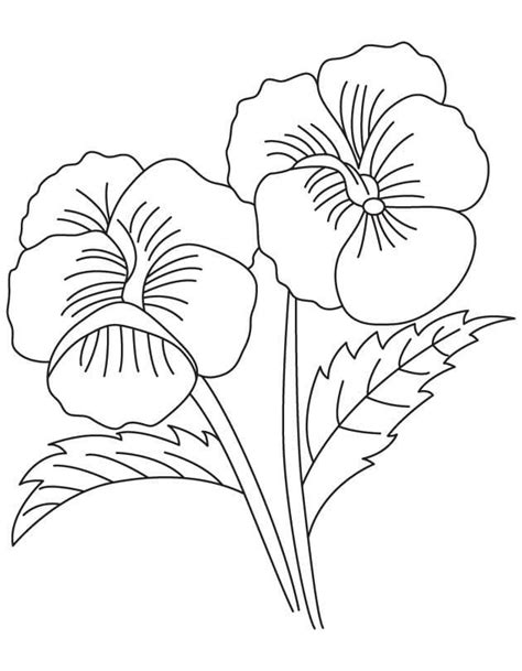 Free Printable Pansy Flower Coloring Page - Free Printable Coloring Pages for Kids