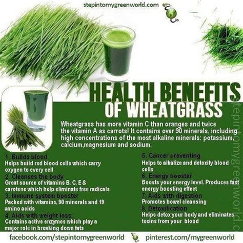 Wheatgrass - Are You Ready for a Change?