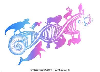 Evolution Tattoo Symbol Science Education Medical: vetor stock (livre ...