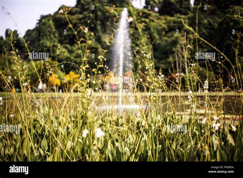 Kebun Raya Bogor High Resolution Stock Photography and Images - Alamy