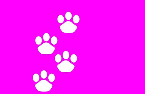 pink cat paws background 8122260 Vector Art at Vecteezy