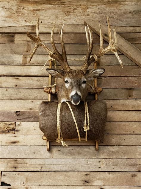 Packmount HIDE ROLL – Revolution Taxidermy