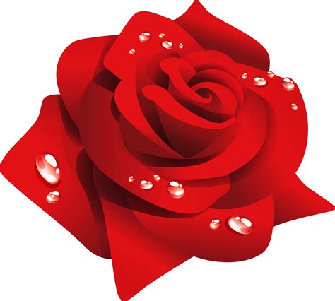 Transparent Red Rose Clip Art - Red Rose Flower Png - Full Size Clipart (#4118590) - PinClipart