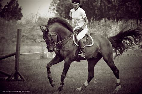 Horse Rider Women XI - 54ka [photo blog]