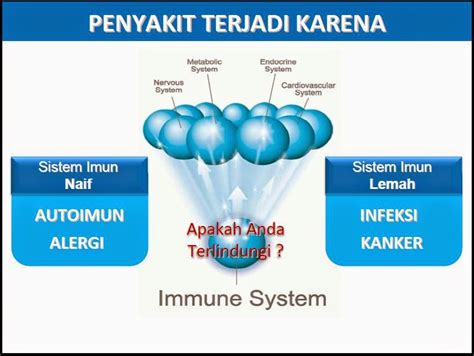 Sistem Kekebalan Tubuh Manusia | Biologi and Scinece