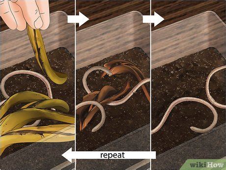 How to Make a Worm Habitat: 10 Steps (with Pictures) - wikiHow