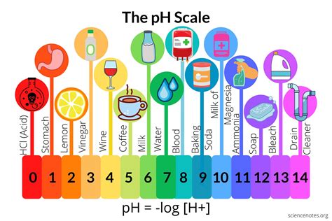 Ph Scale Examples