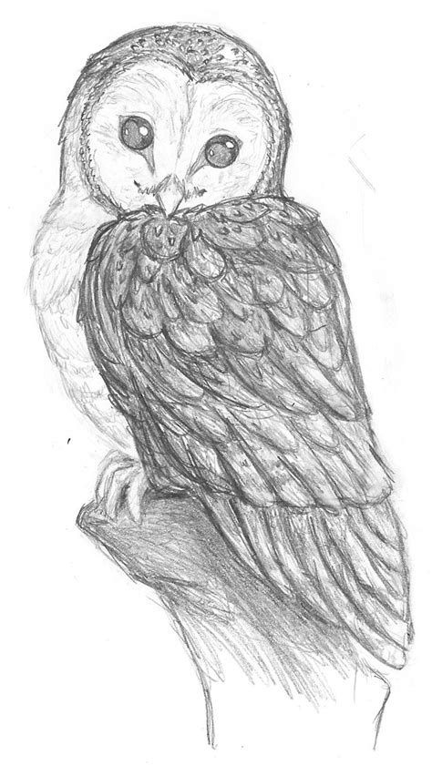 where to purchase paintings of snow owls | pegasusqueen barn owl pencil by the snow fox scraps ...