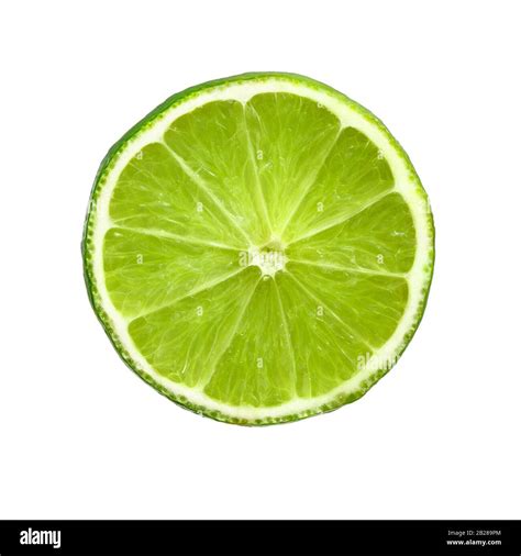 Lime slice. Lime fruit. Juicy slice of lime iisolated on white. Ripe ...