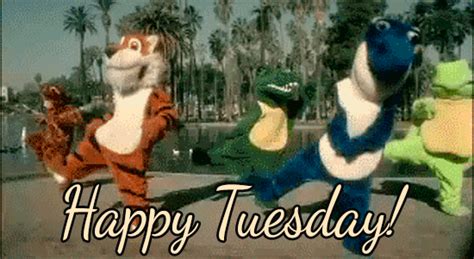 Happy Tuesday GIFs - The Best GIF Collections Are On GIFSEC