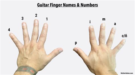 Finger Names for Classical Guitar and Flamenco Guitar