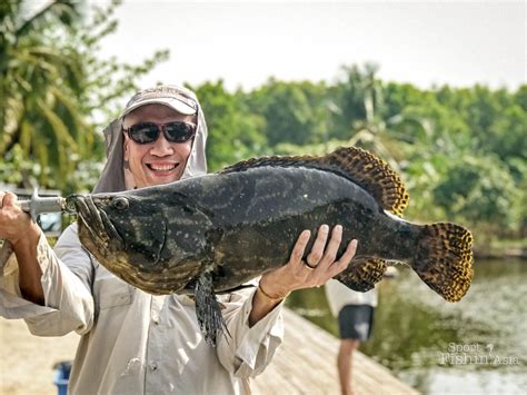 Big Grouper Fishing Near KLIA - Sport Fishing Asia