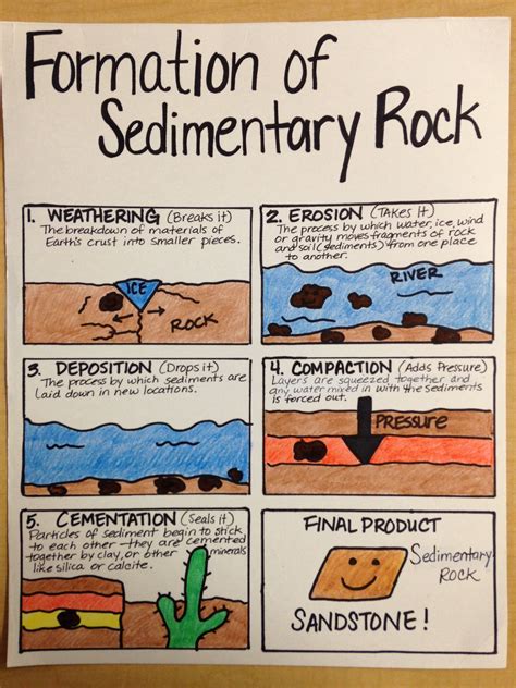 Formation of Sedimentary Rock … | Earth science lessons, Science lessons, Science anchor charts