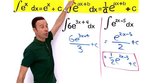 Indefinite Integral of an Exponential Function #5 | VividMath — US..