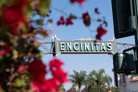 Encinitas Pictures | Download Free Images on Unsplash