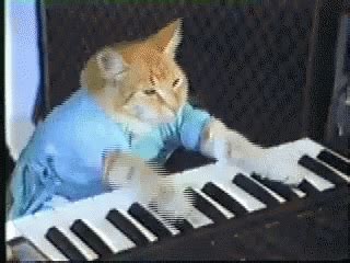 Cat Piano GIF – Cat Piano Cute – discover and share GIFs