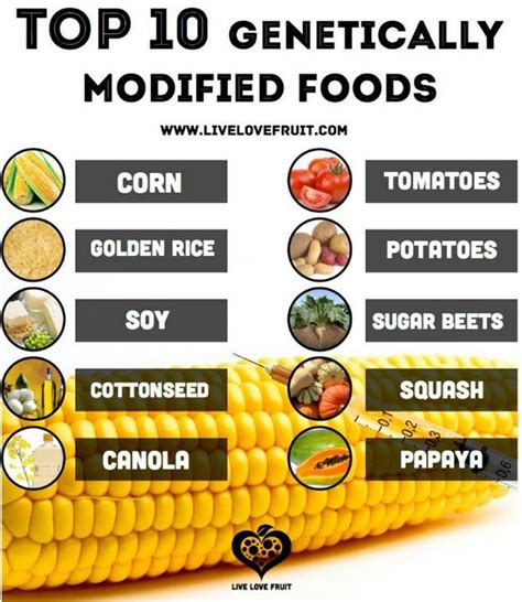 Gmo foods. Don't support companies that want to force us to eat GMOs. | Genetically modified ...