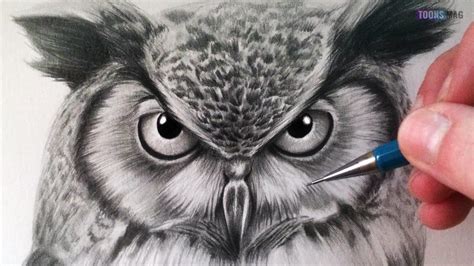 How To Draw An Owl Easy Tutorial - Toons Mag