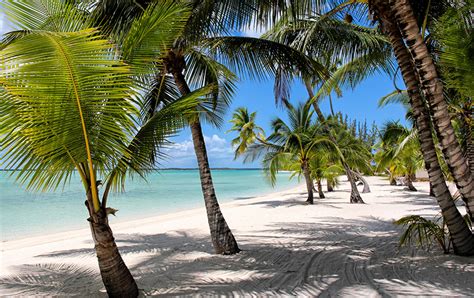 Desktop Wallpapers Bahamas beaches Nature Sand Palms Tropics Coast