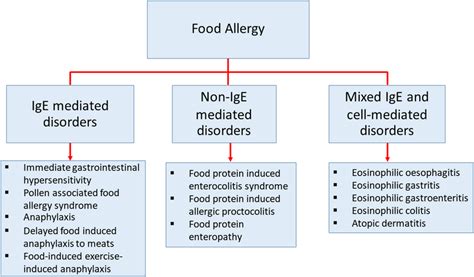 | The classification of diseases that cause by food allergy ...