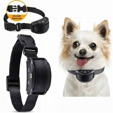 Silence Your Canine Companion: The Ultimate Guide to the Top 10 Dog No Bark Collars - Furry Folly